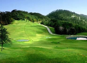  Hotel De Park Shimla